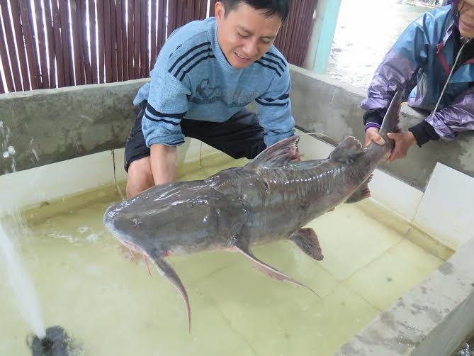 Chi[-]70[-]triệu[-]mua[-]thủy[-]quái[-]sông[-]Đà[-]đãi[-]khách